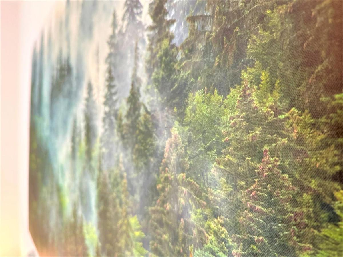 Cozy Apartment In Bavarian Forest +Pool +Sauna +Netflix Zwiesel Eksteriør bilde
