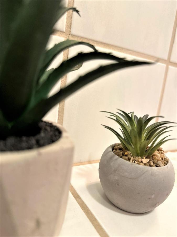 Cozy Apartment In Bavarian Forest +Pool +Sauna +Netflix Zwiesel Eksteriør bilde
